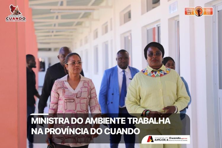 Notícia